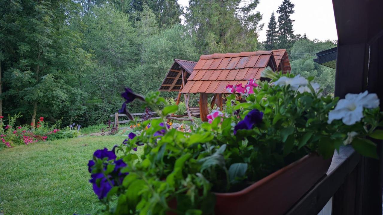 Zatishok Bilya Richky Villa Pilipets Dış mekan fotoğraf