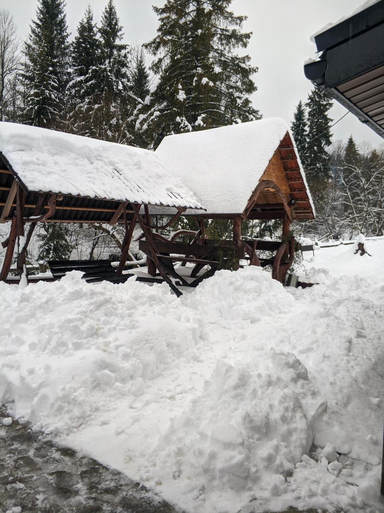 Zatishok Bilya Richky Villa Pilipets Dış mekan fotoğraf